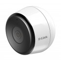 D-Link mydlink Full HD Outdoor Wi-Fi-camera – DCS-8600LH